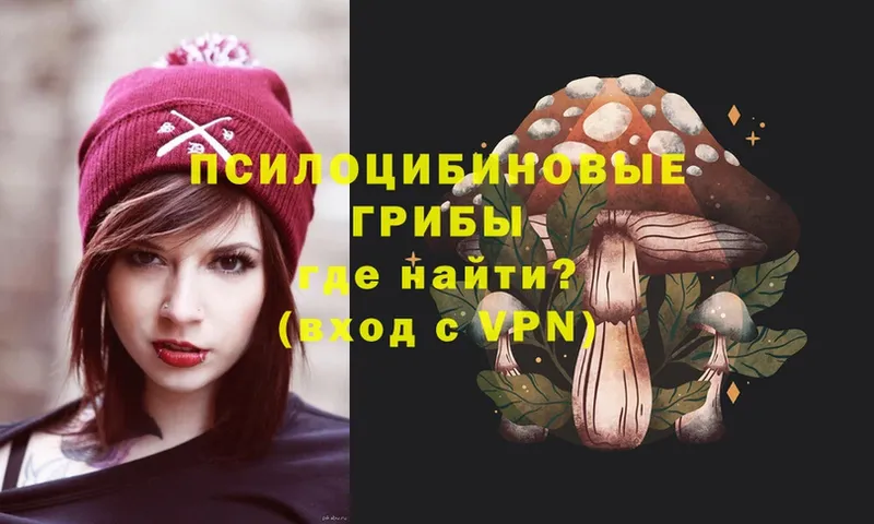 Псилоцибиновые грибы Magic Shrooms  наркотики  нарко площадка формула  Истра 